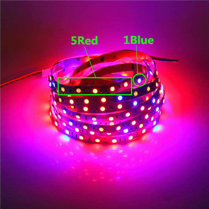 5 M LED Phyto Lamps Full Spectrum LED Strip Light 300 LEDs 5050 Chip LED Fitolampy Grow Lights For Greenhouse Hydroponic plant