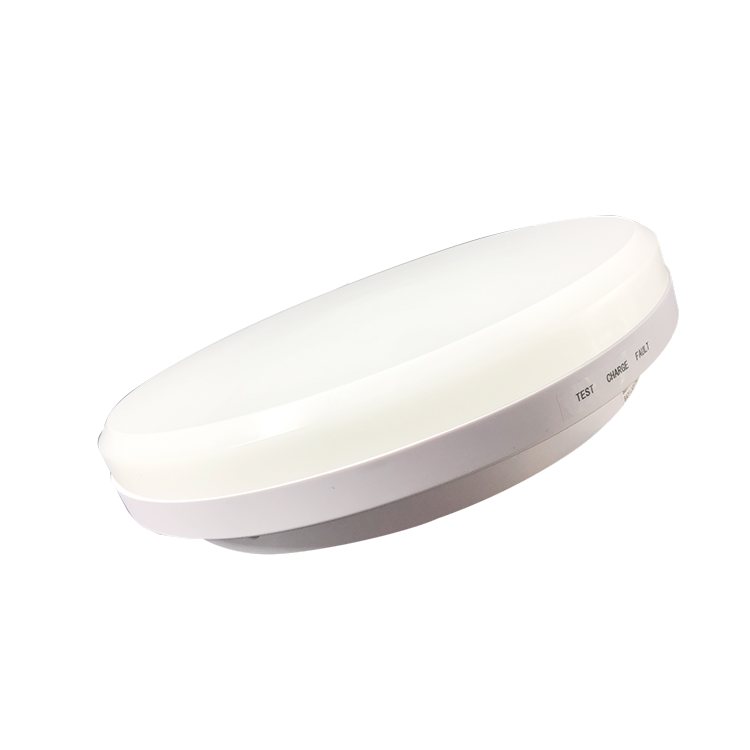 Modern Battery Luminaire Kid Room Ceiling Light