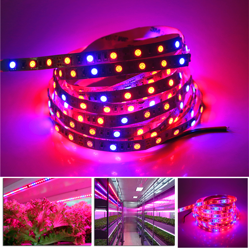 Battery Powered 2M/1M/0.5M RGB 5050 LED Strip Light Lamp Waterproof Grow Plant Light with Control