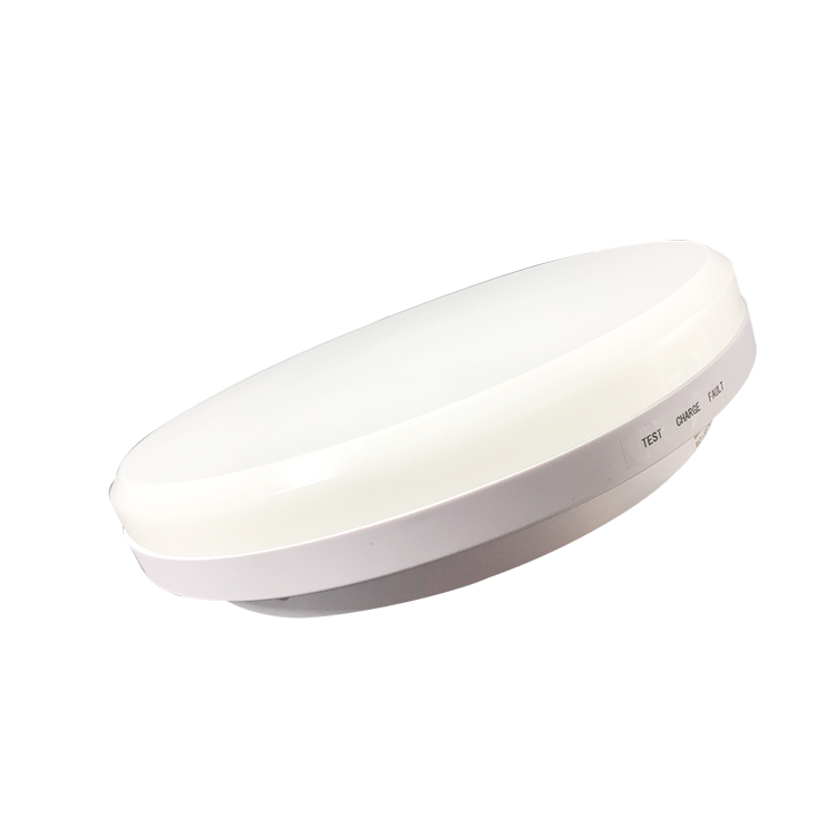 Emergency Office Opal Diffuser Outdoor Oval Ceiling Light