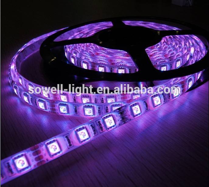 SMD 4.8W yellow/blue/red IP20 LED Strips 3528