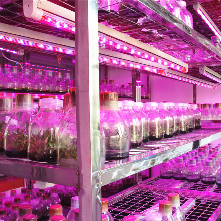 vertical farming grow plant fluorescent lamp hydroponics growing shelves Tube plant lamp bar