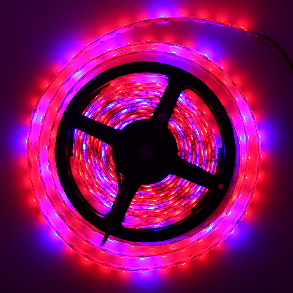 5050 DC 12V LED Strip Waterproof 5M 300 LED Plant Grow Light Strips 4 Red 1 Blue Aquarium Greenhouse