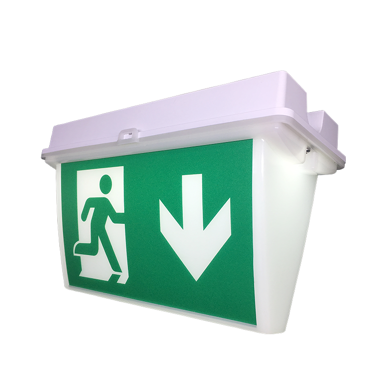 Low Price Fire Color Ip65 Led Exit Salida Sign
