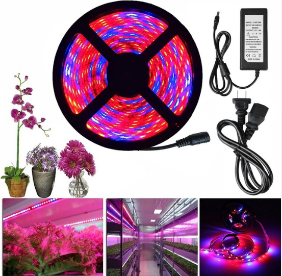 5050 DC12v led cob dimmable grow lights , cxb 3590 3500k led grow light ,led plant grow light