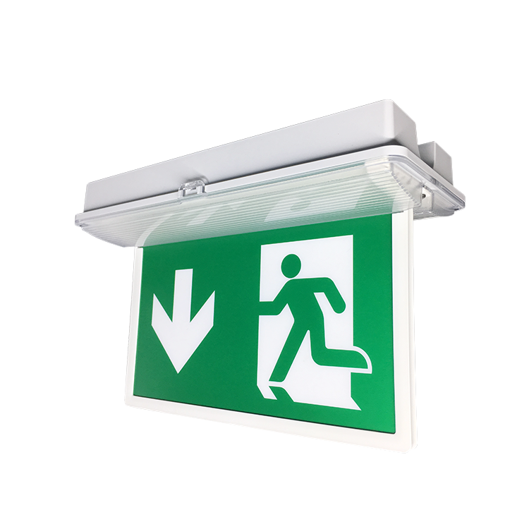 Changeable Led Emergency Light Safety Ac220v-240v Way Out China Luminous Exit Sign