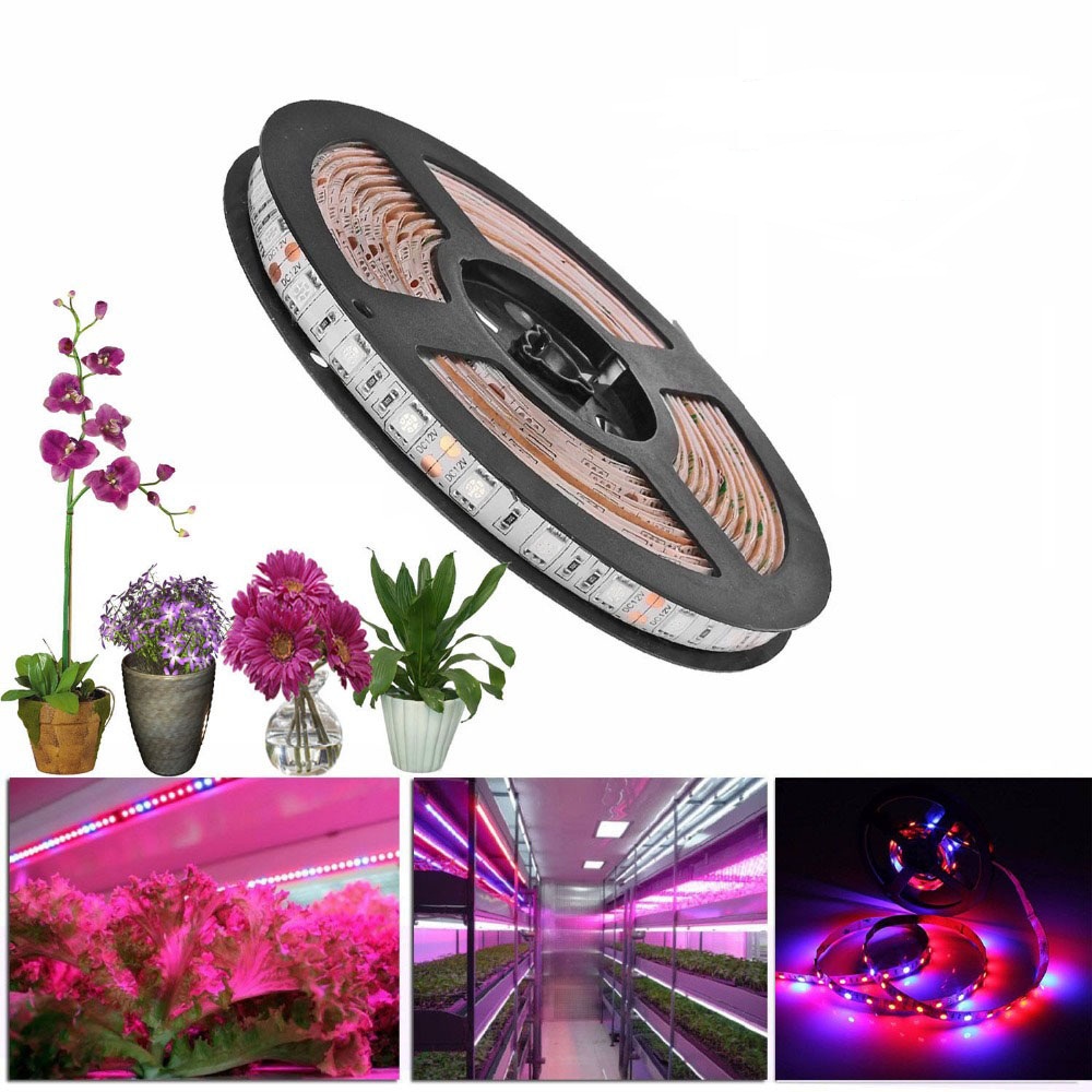 5050 led Plant Grow lights Full Spectrum LED Strip Flower 5m Waterproof Red blue 4:1 for Greenhouse Hydroponic+Power adapter