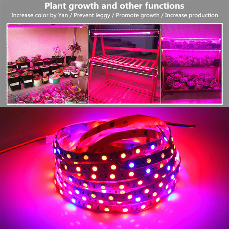 shenzhen Factory Wholesale 100w LED Grow Bulb for Flowering Lighting Indoor Garden Plants