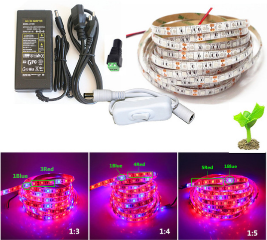 LED Strip Light Plant Grow Lights 16.4ft 5050 SMD Waterproof Full Spectrum Red Blue 4:1 Growing Lamp