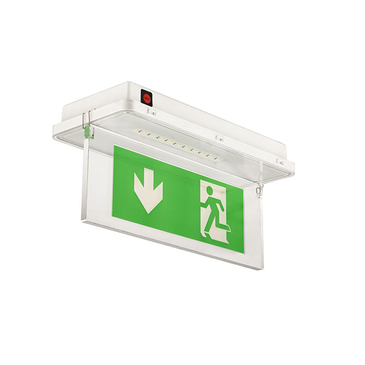 Customized fashion design exit light with emergency lights