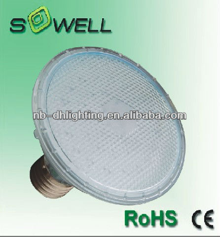 LED Bulb PAR30 E27