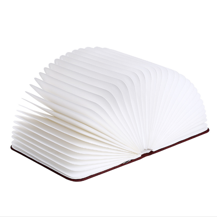 White Light Reading Wood Book Lamp Led Wooden