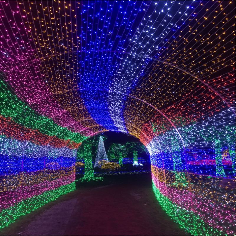 10m 20m 30m 50m 100m LEDs AC plug LED String Lights for Christmas Party Wedding Decoration Fairy Lights