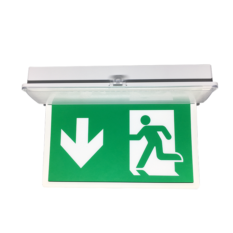 Battery Led Green Running Man Sign Rechargeable Wall-Mounted Emergency Exit Light