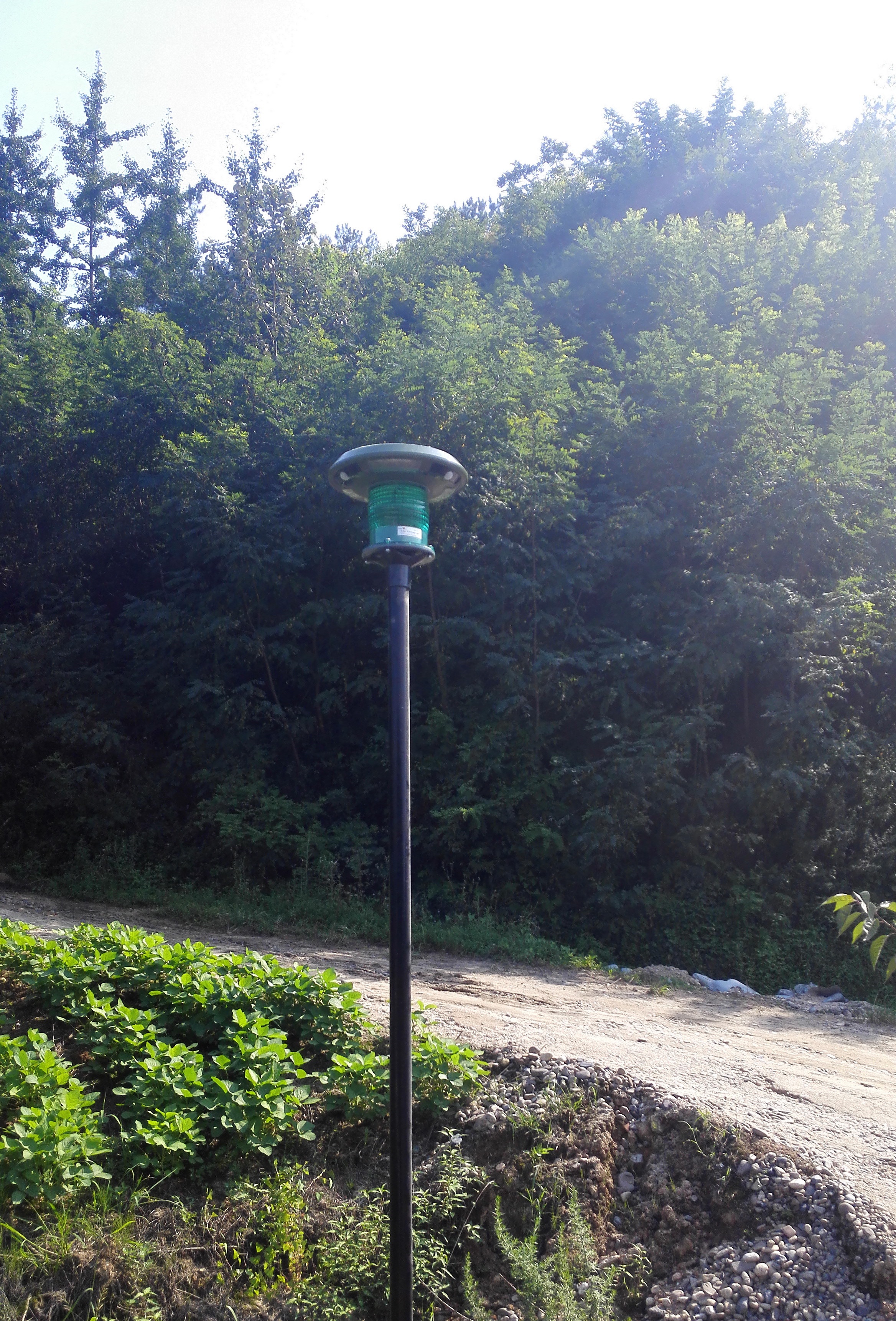 All-in-one Solar Powered LED Yard Light with a Voice Prompter or Alarm