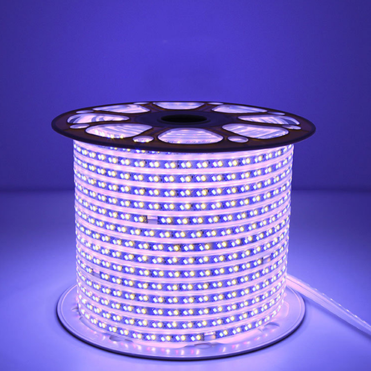 Hot Sale Car Sculpture Halogen 3014 Led Rope Light