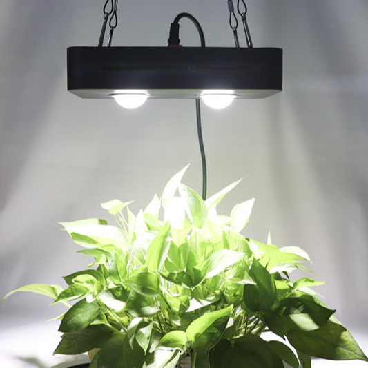 Full spectrum led grow lights 100W LED Grow Nurture seedlings plant vegetables fruits growth lamp