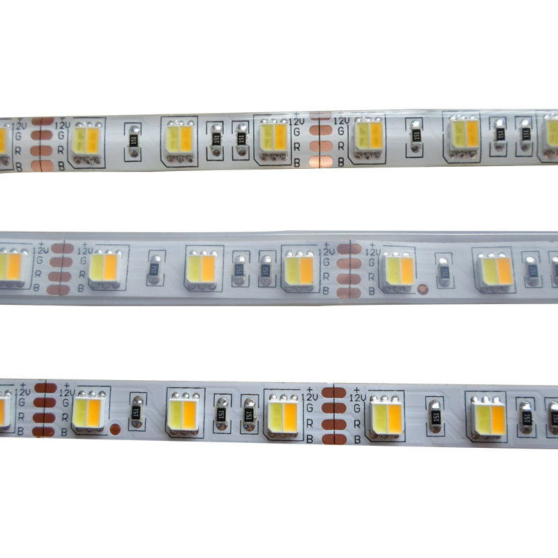 5050 Dual White Led Strip 5052 5m 300 Led Tape Lights 12v Led Backlight 12V 24V 2 In 1 3528 600Leds Led Strip Dual