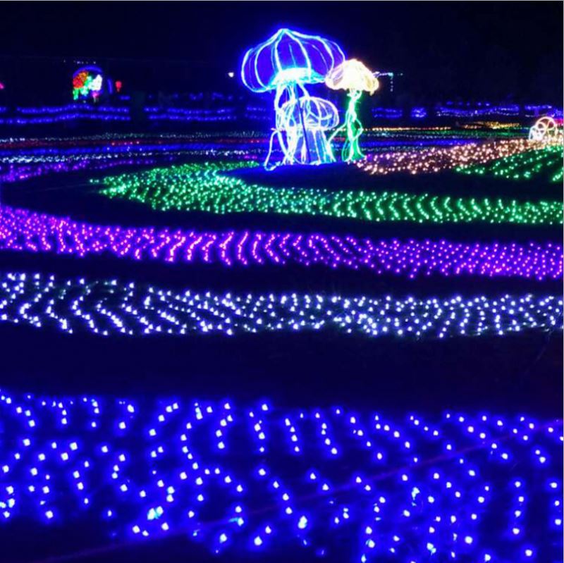 Pellet Decorative Led String Light With RGB Color,Led Christmas Decoration String Light