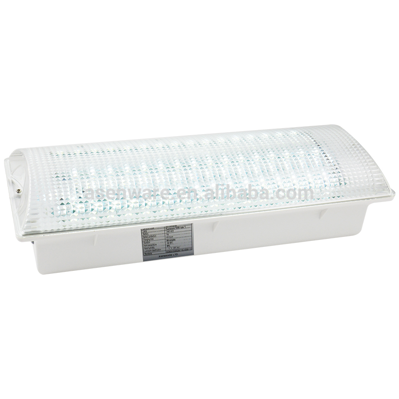 LED Emergency light 6wx2