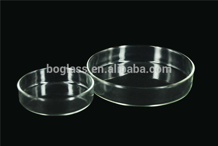 High quality glass/plastic petri dish 100mm petri dish container