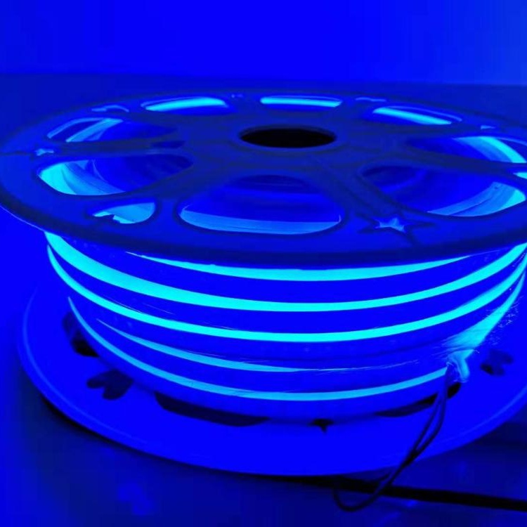 super brightness 8*16mm D shape flexible custom led neon flex light in good quality