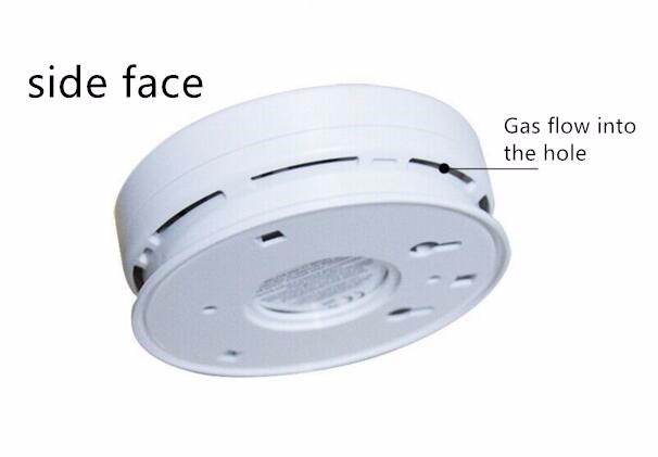 Independent personal carbon monoxide detector co alarm