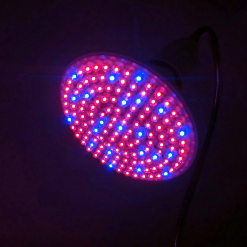 LED Grow Light with 360 Degrees Flexible Lamp Holder Clip LED Plant Growth Light for Indoor or Desktop Plants