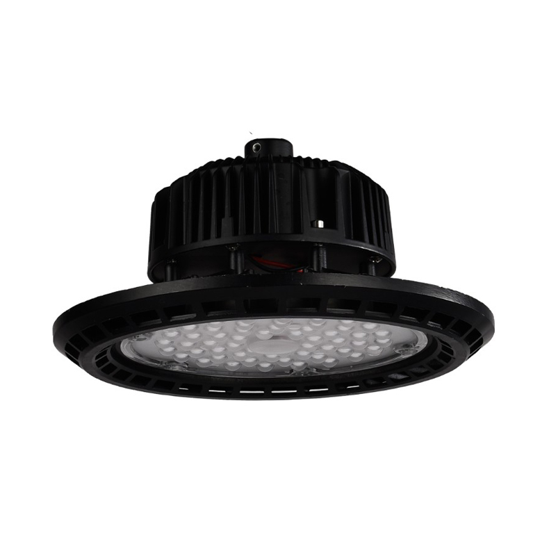 Professional Waterproof Black Aluminium Case Outdoor LED Lighting High Bay Lamp 100W High Bay Light