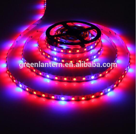 Blue/Red 1:4/1:5/1:7/1:8 60leds/m Led grow strip 5m plant growing 5050SMD DC12v waterproof IP65