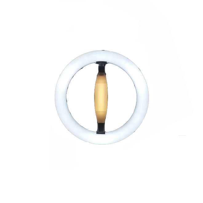 Customized size modern design 15w led circular ring lamp