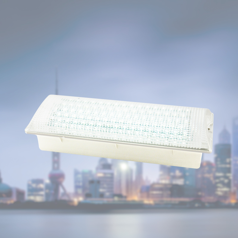 New coming Centralized monitoring emergency luminaire led emergency light