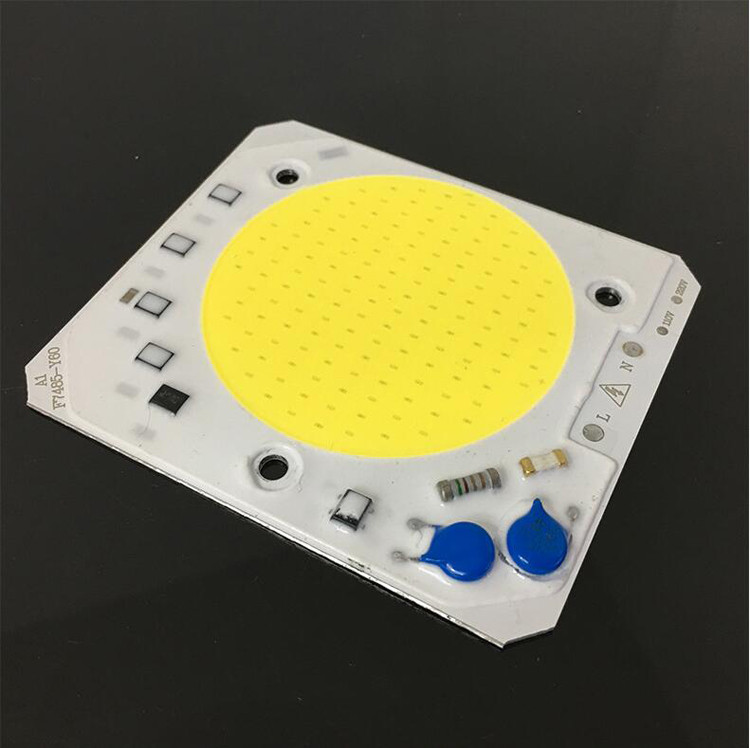 AC110V 220V  Integrated Cast 50W COB LED Lamp Beads No-need Drive Luminescent Surface 60MM