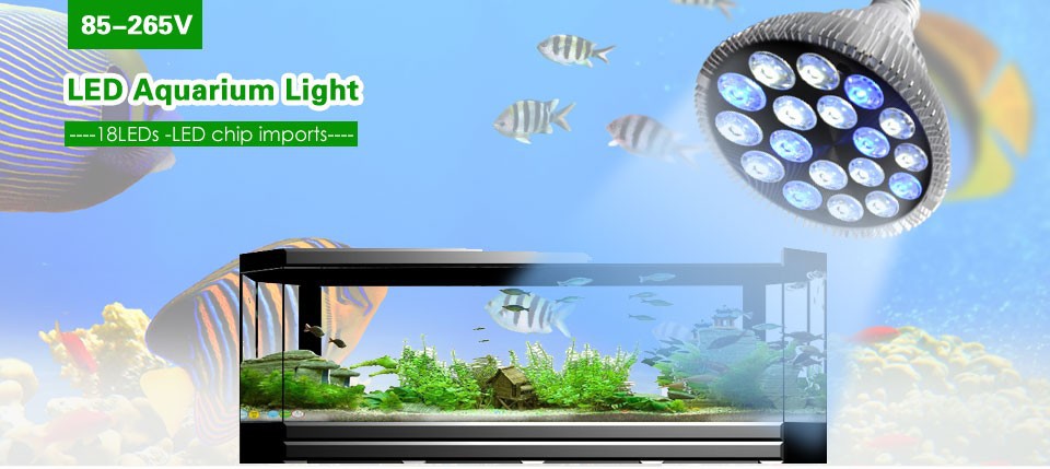 LED Grow Light with 360 Degrees Flexible Lamp Holder Clip LED Plant Growth Light for Indoor or Desktop Plants