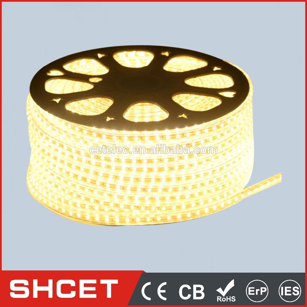 5050 Flexible LED Strip 60LED/m Good Quality For Outdoor Tree Lighting IP65 Silicone Rubber Tube