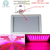 300W 450W 600W 900W 1000W 1200W 1600W 2000W double chips Full Spectrum Hydro LED Grow Light