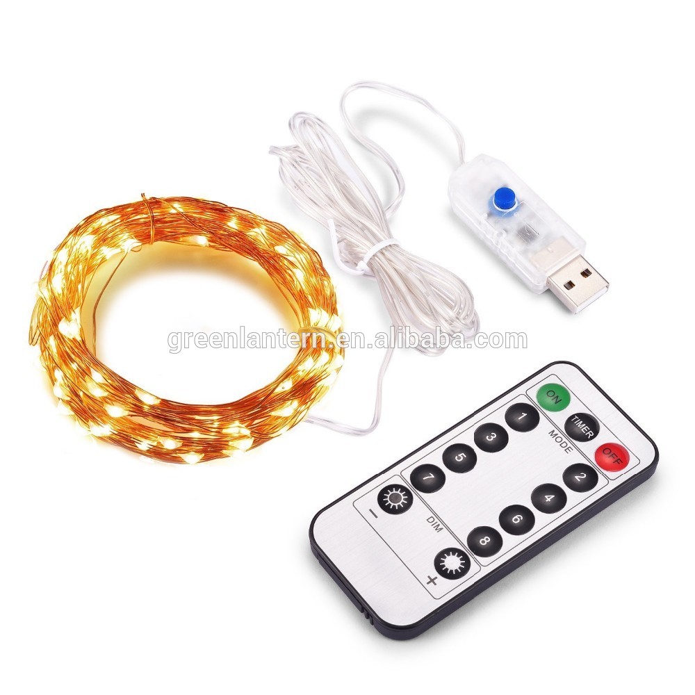 10m 33ft 100 LED Holiday Lighting 8 Function USB Powered Remote Copper Wire String Lights