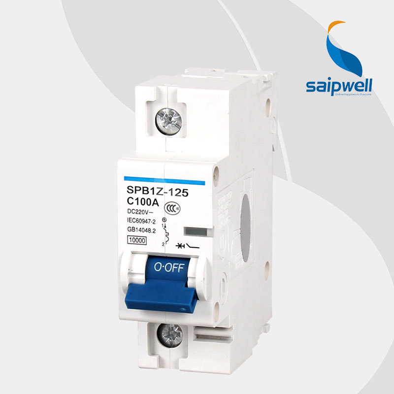 SAIP/SAIPWELL China Newest 1 Pole DC125/220V 100A IP65 Electrical Main Circuit Breakers