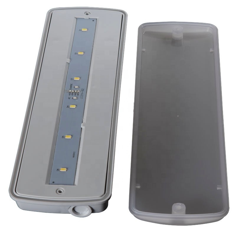 Maintained Zhuiming LED Bulkhead LED Emergency light