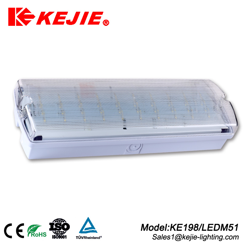 3W self-testing led emergency ceiling light fire resistant pc plastic high quality  IK10 emergency light