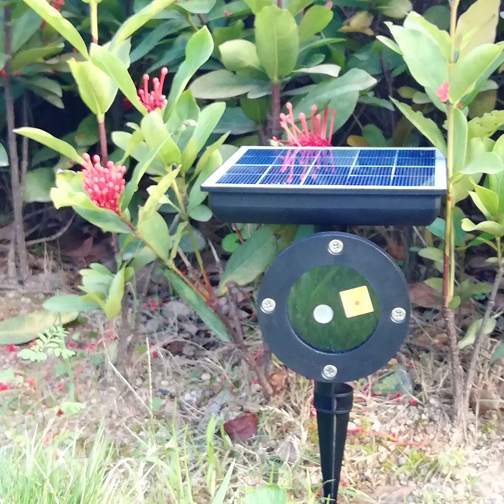 High precision quality indoor solar lights home solar power led laser light