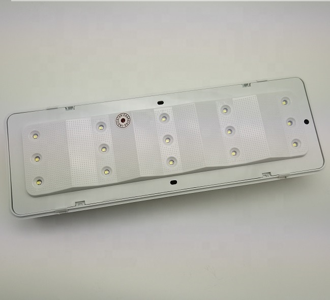 Wall mounted Battery Powered Autotesting  LED Emergency Bulkhead luminaire