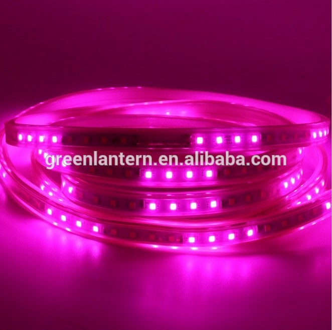 Smart running white 220V waterproof flexible led strip light moving from left to right