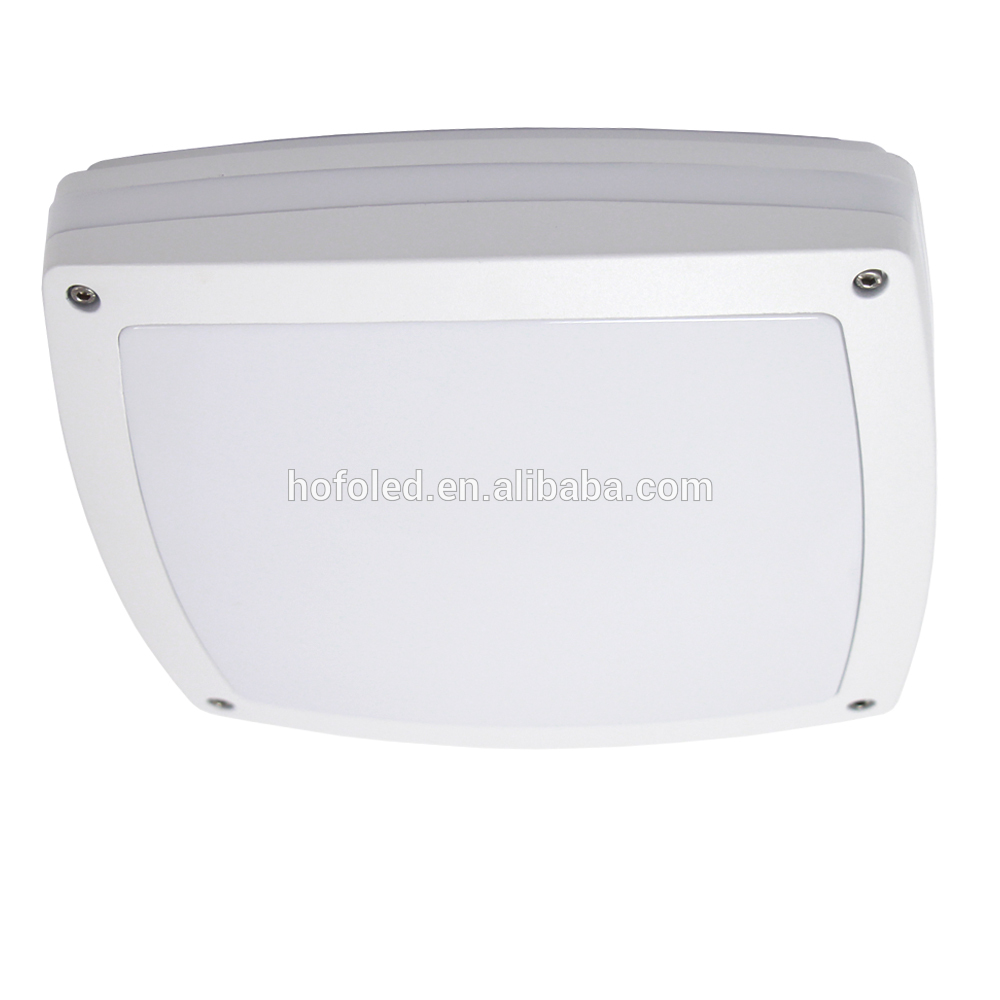 High quality wall mounted surface mounted modern Ceiling LED Light