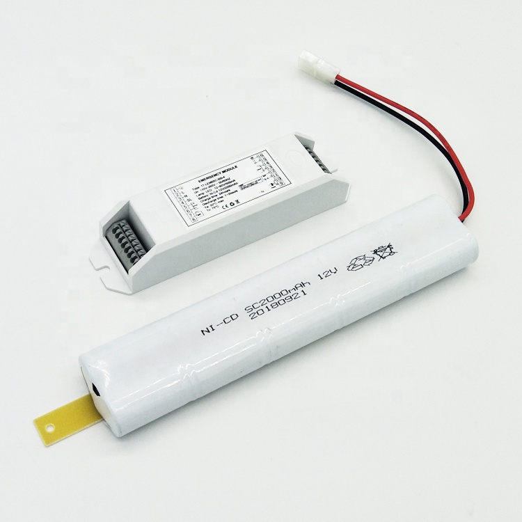 Emergency light inverter kit with external driver