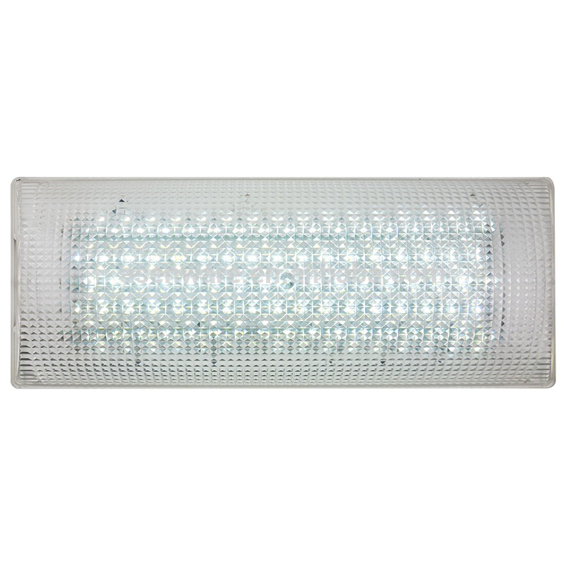 Emergency rescue light