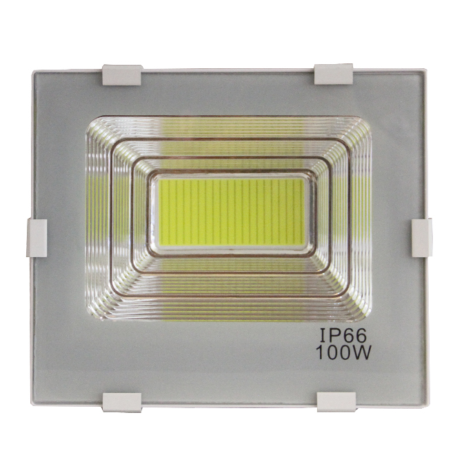 IP66 30W 50W 100W cheap price led flood light