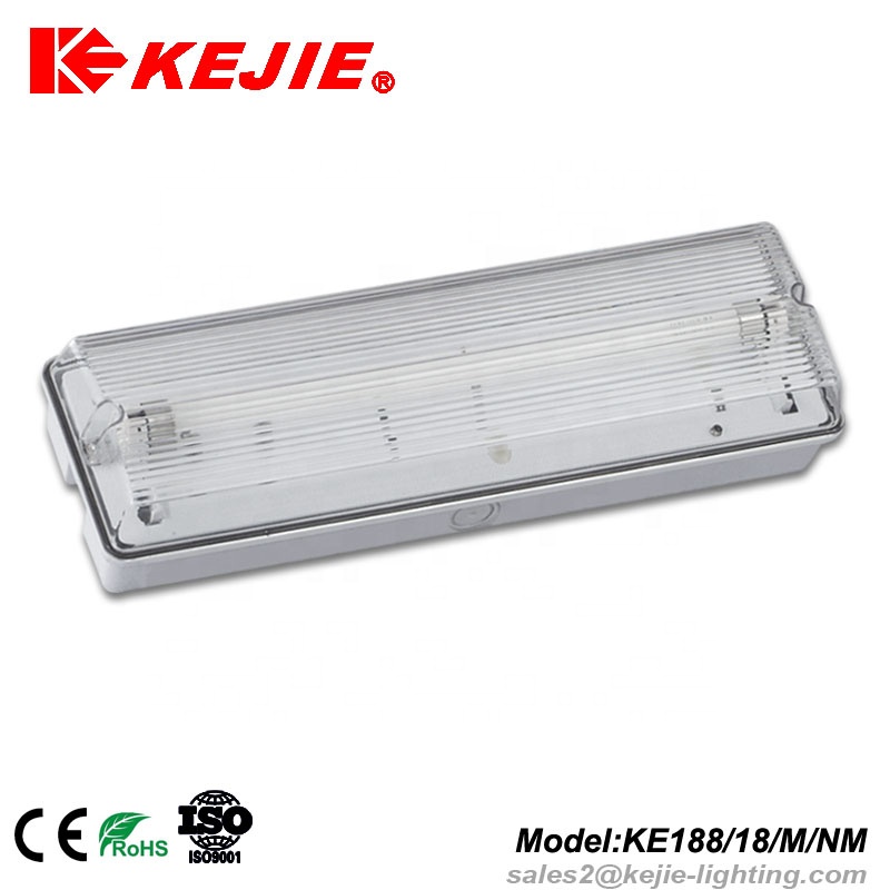 Made in China IP65 exit emergency light with fluorescent tube or LED