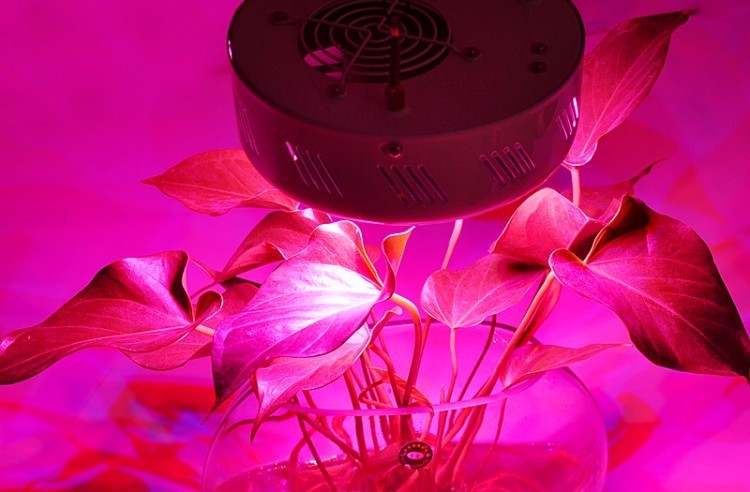 150W UFO LED Grow Light Full Spectrum Grow Light Led Plant Bulb Lamp for Grow Tent Grow Box Flowering Hydroponics System