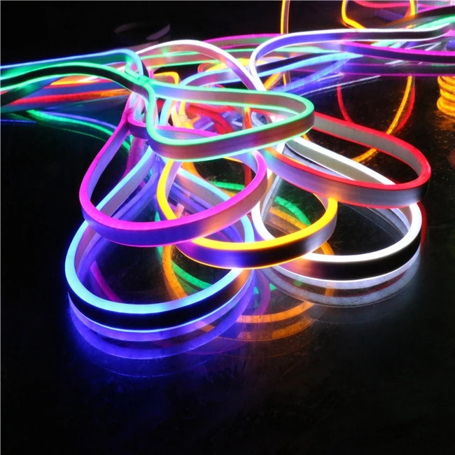 IP65 Strip Neon Flex Rope Light 110V 220V 24V 12V Color Changing RGB LED Neon Light